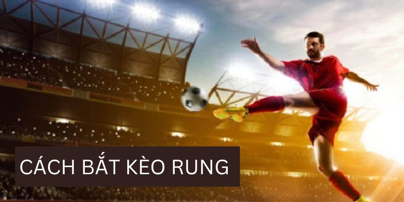 Cách bắt kèo rung